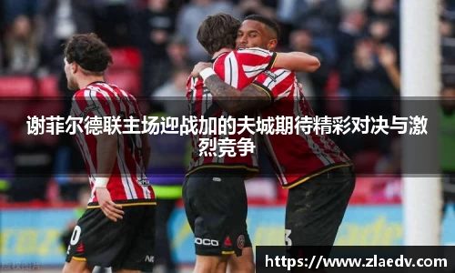 谢菲尔德联主场迎战加的夫城期待精彩对决与激烈竞争